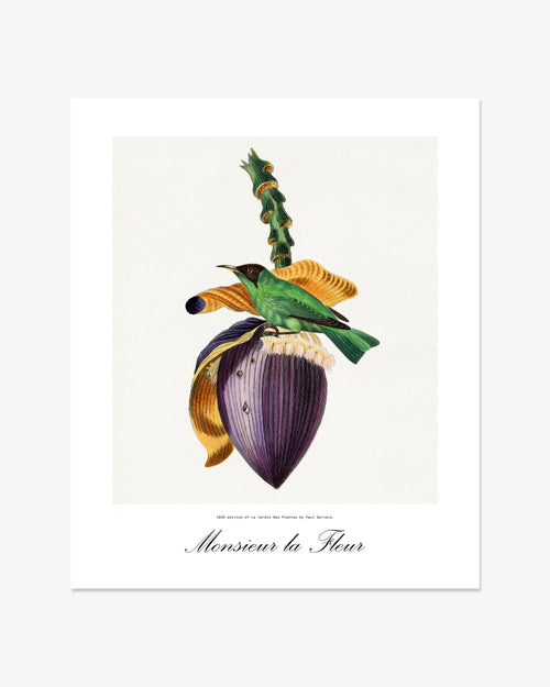 Le Jardin Print